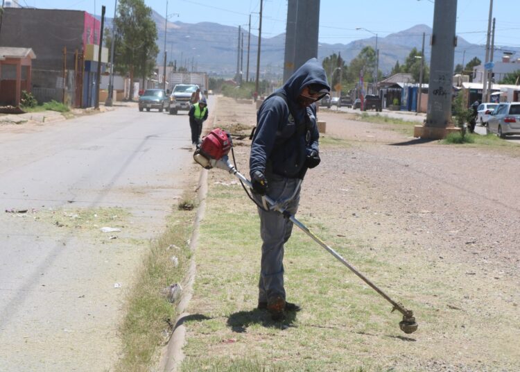 Realiza Municipio Limpieza Masiva En Avenidas Del Sur De La Ciudad