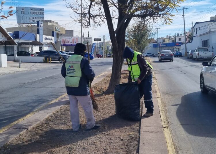 Recolectan Casi Mil Toneladas De Basura Al Norte Durante El 2023