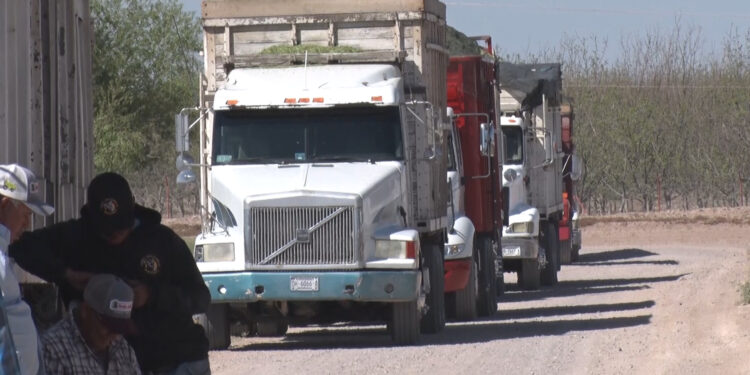Trabajadores de establo realizan paro laboral en Delicias