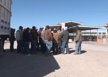 Trabajadores de establo realizan paro laboral en Delicias