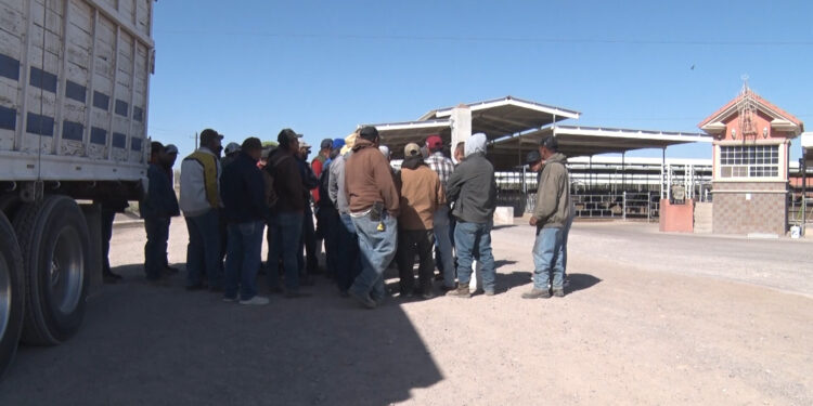 Trabajadores de establo realizan paro laboral en Delicias