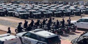 Baja de vehículos y bienes del Gobierno Municipal