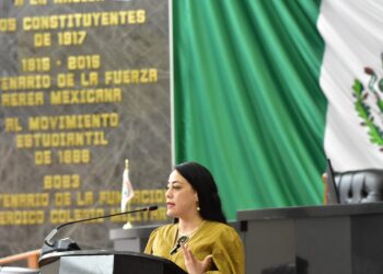 Diputada América Aguilar exhibe fallas en registro de deudores alimentarios