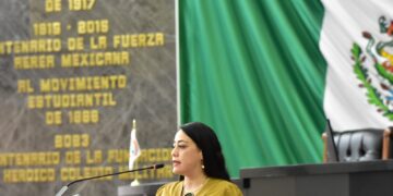 Diputada América Aguilar exhibe fallas en registro de deudores alimentarios