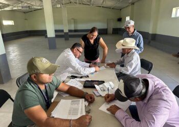 Anuncian recepción de documentos para apoyos alimentarios en Chihuahua capital