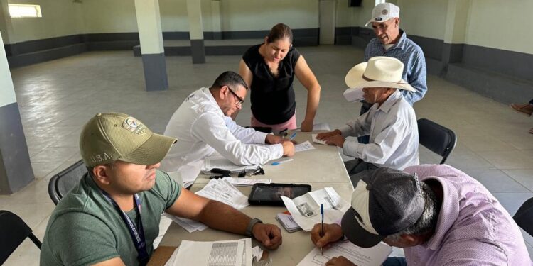 Anuncian recepción de documentos para apoyos alimentarios en Chihuahua capital