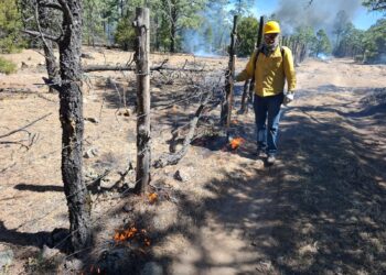 Continúa combate a incendios forestales en el estado