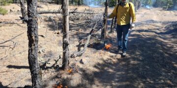 Continúa combate a incendios forestales en el estado