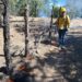 Continúa combate a incendios forestales en el estado