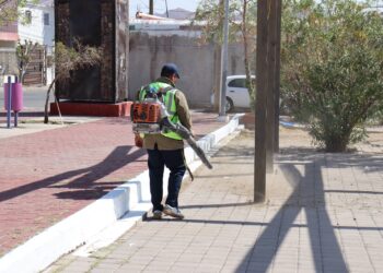 Atienden de manera diaria parques de Chihuahua capital