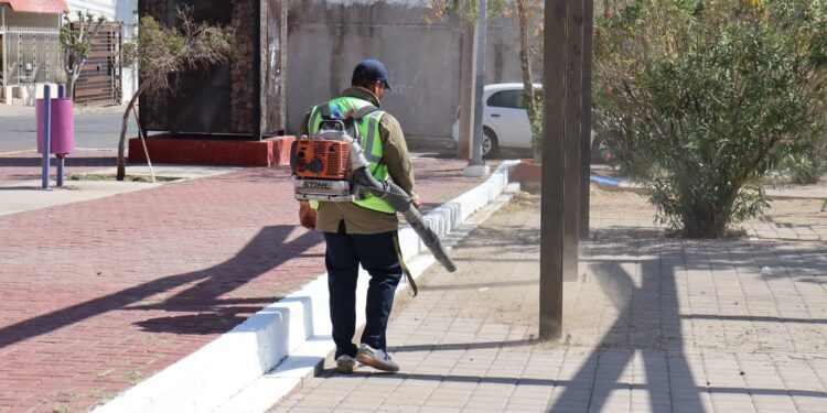 Atienden de manera diaria parques de Chihuahua capital
