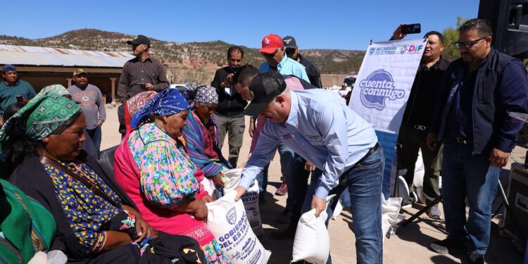 Lleva Estado apoyos alimentarios a familias de Bocoyna