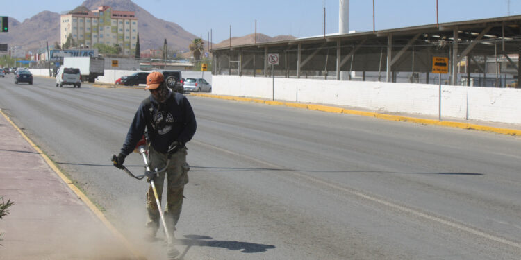 Limpian 175 mil metros cuadrados de avenidas al sur de la ciudad durante marzo