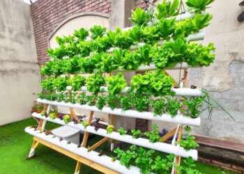 Inaugura UPCH sistema de hidroponia para producción de alimentos y hortalizas