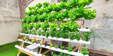 Inaugura UPCH sistema de hidroponia para producción de alimentos y hortalizas