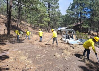 Disminuyen incendios forestales activos en la entidad: SDR