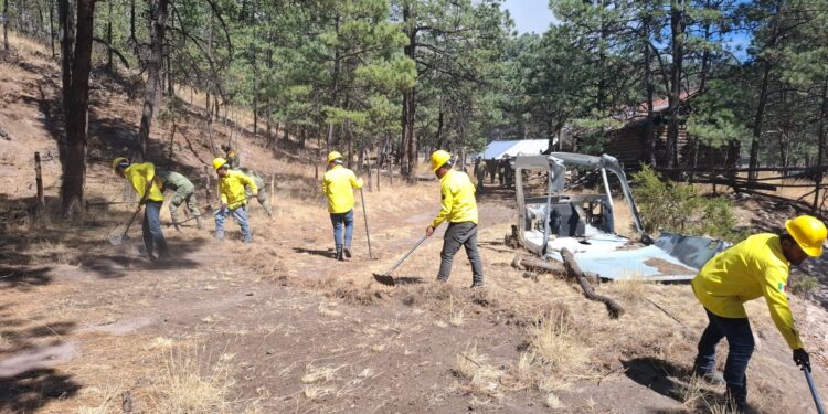 Disminuyen incendios forestales activos en la entidad: SDR
