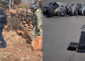 Desmantelan campamento criminal en Madera