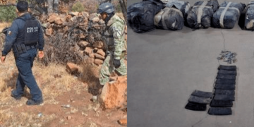 Desmantelan campamento criminal en Madera