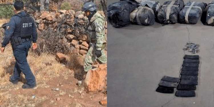 Desmantelan campamento criminal en Madera