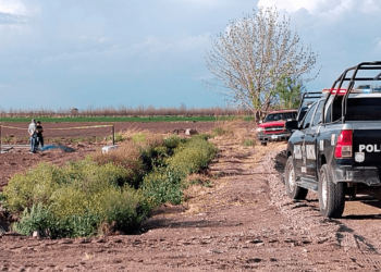 Hombre fallece mientras trabajaba en campo de cultivo en Meoqui
