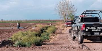 Hombre fallece mientras trabajaba en campo de cultivo en Meoqui