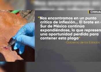 Estados Unidos advierte a México sobre posible cierre fronterizo