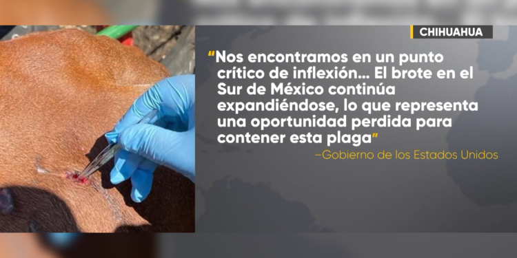 Estados Unidos advierte a México sobre posible cierre fronterizo