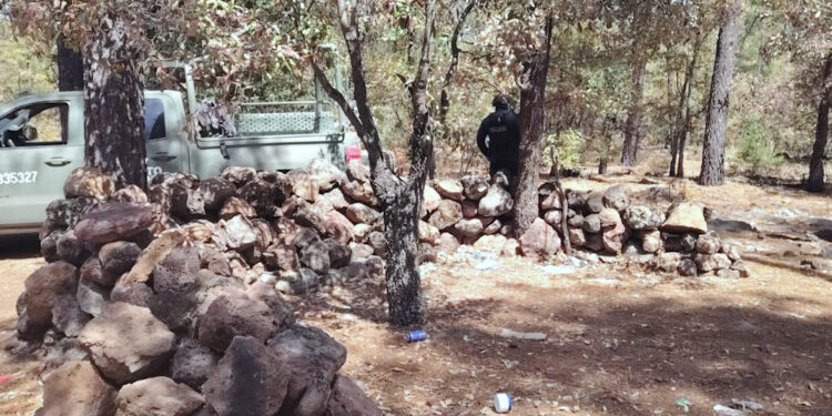 Desmantelan narco campamento en la sierra de Madera