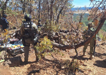 Desmantelan narco campamento en la sierra de Madera