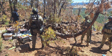 Desmantelan narco campamento en la sierra de Madera