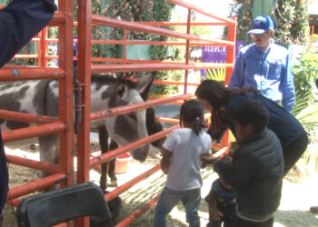 Festejan a niñas y niños indígenas en el parque El Colibrí