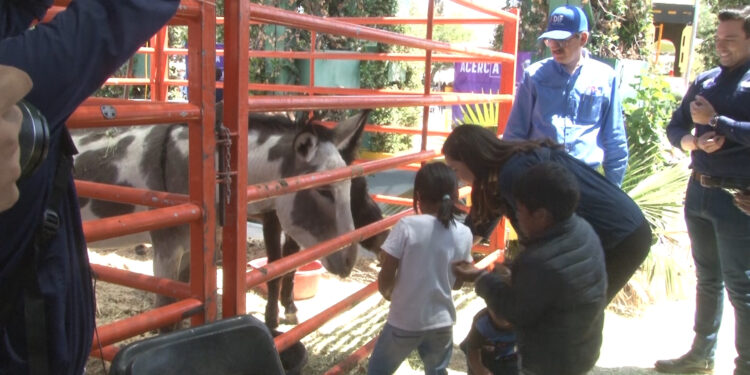 Festejan a niñas y niños indígenas en el parque El Colibrí