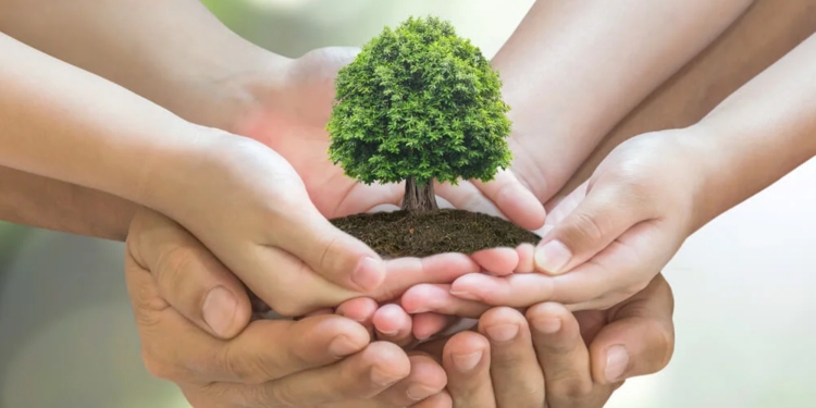 Comparten recomendaciones para cuidar el medio ambiente desde tu hogar