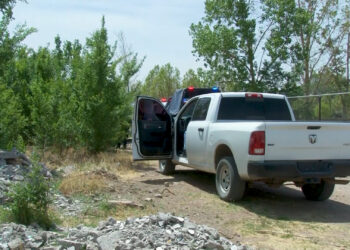 Hallan cuerpo sin vida en lote baldío en Cuauhtémoc