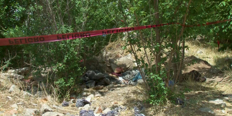 Hallan cuerpo sin vida en lote baldío en Cuauhtémoc