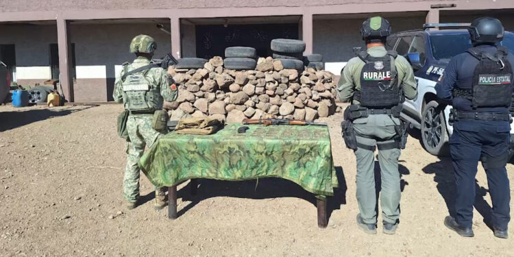 Desmantelan campamento del crimen organizado en Madera