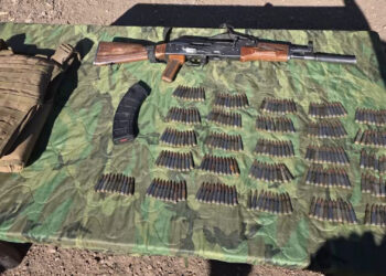 Desmantelan campamento del crimen organizado en Madera