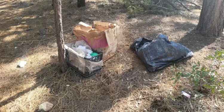 Desmantelan campamento del crimen organizado en Madera
