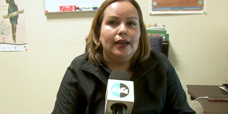 Productores en Cuauhtémoc recurren a “prendidas” para proteger cosechas