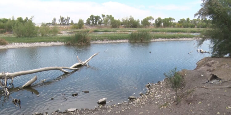 Supervisan operativo de seguridad en Meoqui