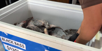 Aumenta consumo de pescado en Semana Santa