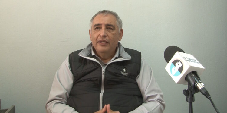 Caída de árbol provoca corte de electricidad en secundaria