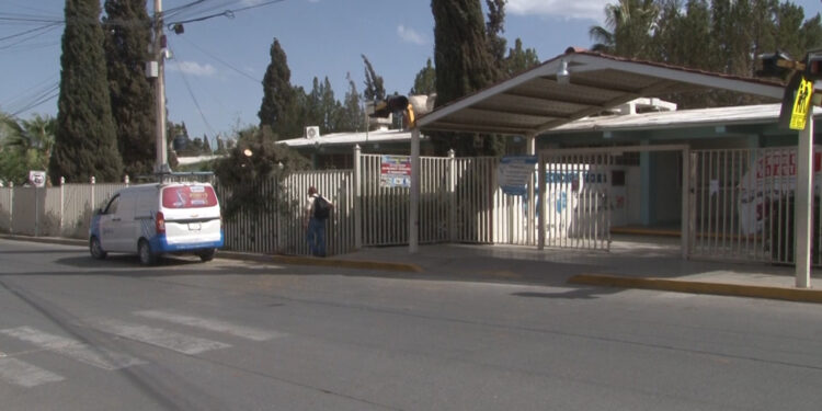 Caída de árbol provoca corte de electricidad en secundaria