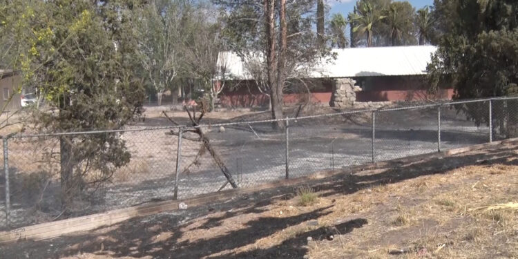 Se registra incendio en rancho entre Delicias y Meoqui