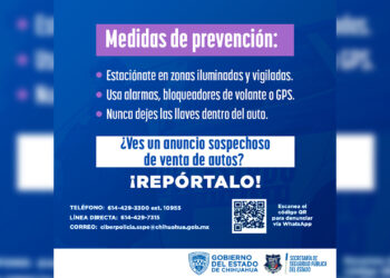 Recomendaciones para prevenir y reportar el robo de vehículos