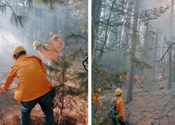 Registran 17 incendios forestales activos en el estado