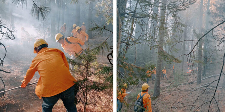 Registran 17 incendios forestales activos en el estado