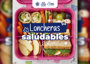 Loncheras saludables para estudiantes a través de recetas sencillas y fáciles