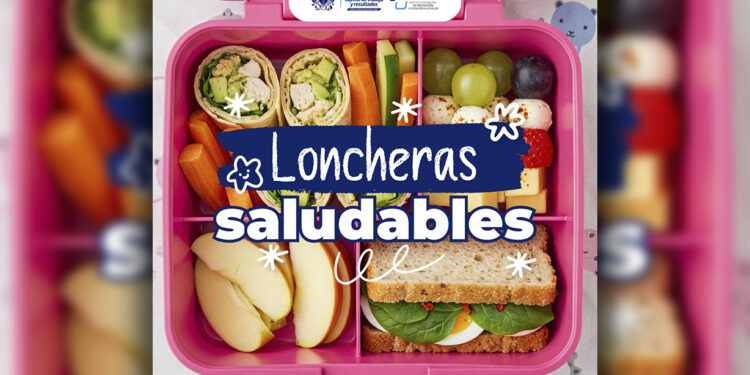 Loncheras saludables para estudiantes a través de recetas sencillas y fáciles